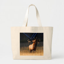 Alces Bolsa