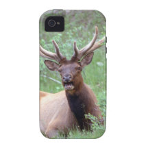 Alces Case-Mate iPhone 4 Carcasas