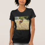 Alces de Bull Camisetas