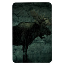 Alces de Bull en la lluvia de la caída Imanes