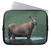 alces fundas computadoras