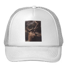 alces gorro de camionero