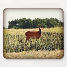 Alces jovenes de Bull Tapete De Ratón