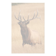 alces  papeleria de diseño