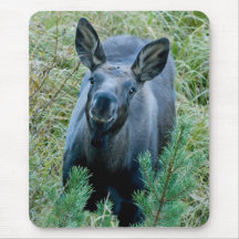 Alces sonrientes alfombrillas de raton