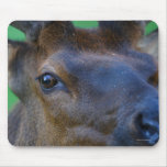 Alces Tapete De Ratones