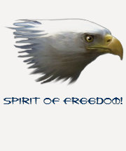 Alcohol de la camisa de las señoras de Eagle calvo