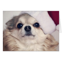 Alegría del perrito del navidad felicitaciones