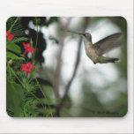 alegría Mousepad de la Rubí-garganta alfombrillas de raton 