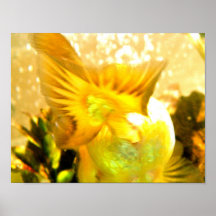 Aletas de oro del reflejo posters