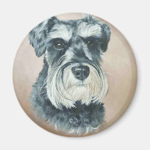 Alfie - schnauzer miniatura imán de nevera