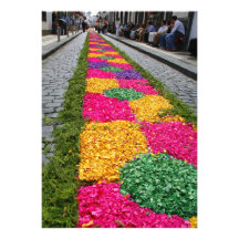 Alfombra de la flor comunicado personal  