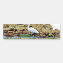 Alga marina de los pájaros de los Egrets Etiqueta De Parachoque