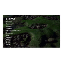 Alga marina en los guijarros plantillas de tarjetas personales