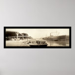 Algodón en la foto 1909 de la sabana posters
