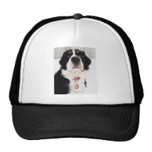 ¿Alguien dijo la cena? Gorras