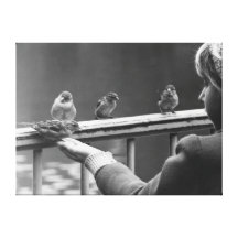Alimentador del pájaro lienzo envuelto para galerías