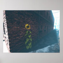 Alley_SunFlower_HiRes Poster