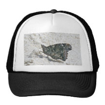 Almirante rojo mariposa en artículos de coordinaci gorros bordados