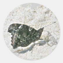 Almirante rojo mariposa en artículos de coordinaci pegatina redonda