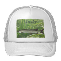 Almizclado Gorras De Camionero
