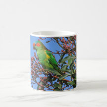 Almizcle Lorikeet Tazas