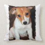 Almohada de Jack Russell Terrier