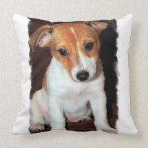 Almohada de Jack Russell Terrier