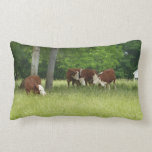 Almohada de la vaca