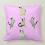 Almohada de MoJo del americano de los gatos de cal