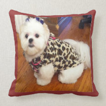 Almohada de Shih Tzu MoJo