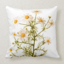 Almohada de tiro de la manzanilla