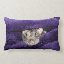 almohada de tiro de Mojo del americano de la rata 