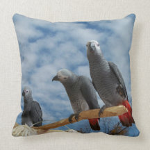 almohada de tiro de tres loros del gris africano