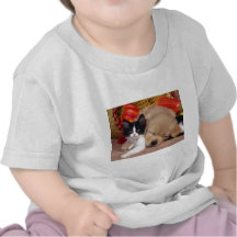 Almohada del gatito camiseta