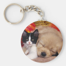 Almohada del gatito llaveros