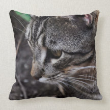 Almohada del gato de Tabby