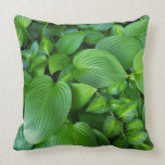 Almohada del jardín