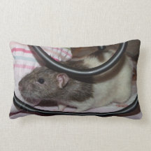 almohada del lumbar de la rata del dumbo