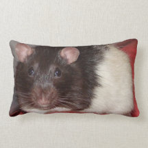 almohada del lumbar del fuzzball