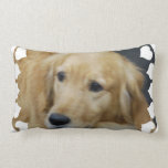 almohada - modificada para requisitos particulares