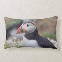 Almohadas de MoJo del frailecillo atlántico