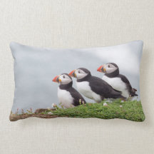 Almohadas de MoJo del frailecillo atlántico