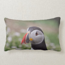 Almohadas de MoJo del frailecillo atlántico