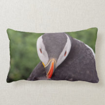Almohadas de MoJo del frailecillo atlántico