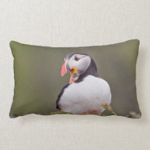 Almohadas de MoJo del frailecillo atlántico