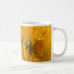 Almuerzo de Katydid - taza