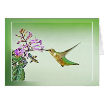 Almuerzo del colibrí tarjeta