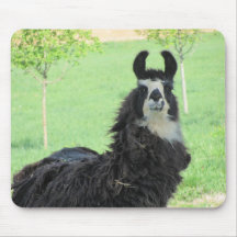 Alpaca, cojín de ratón de la llama alfombrilla de raton