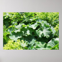 Alrededores espumosos posters